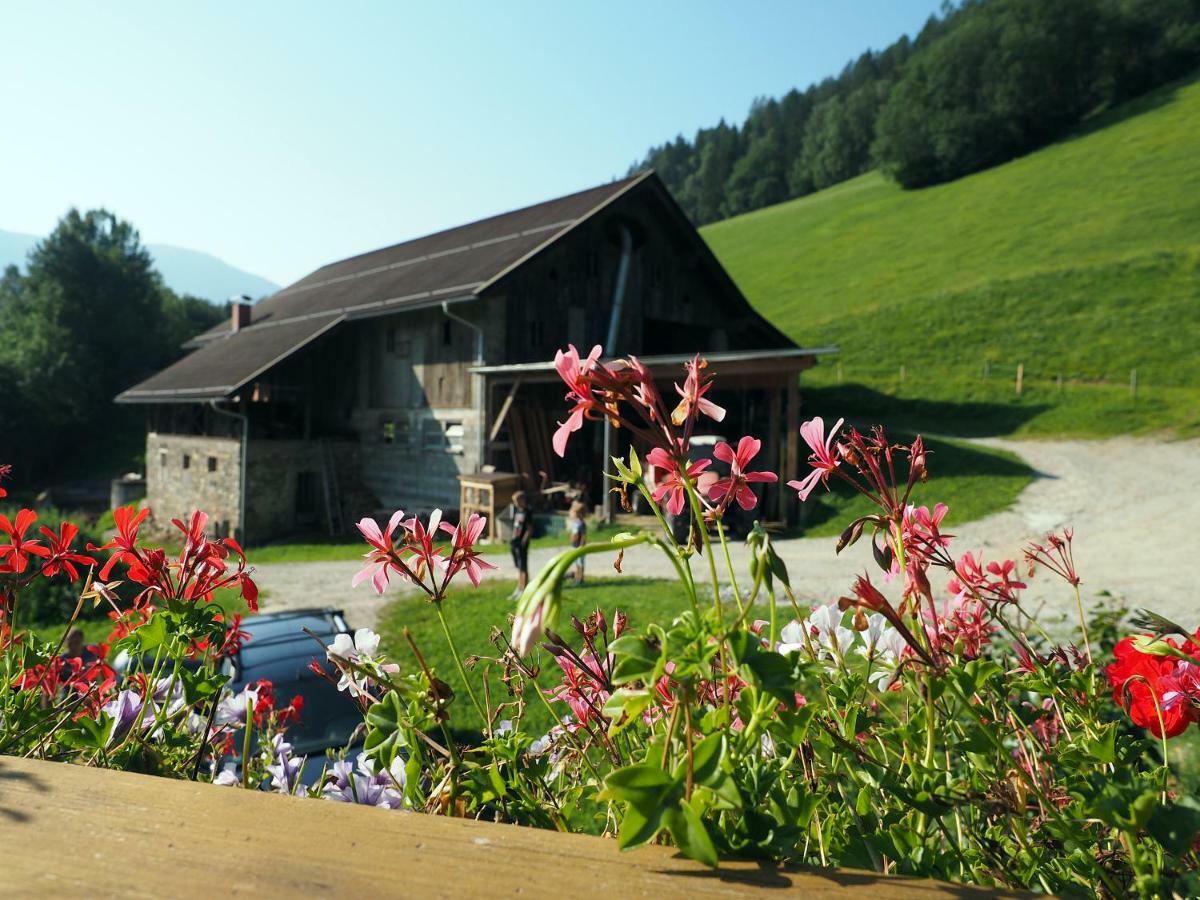 Laxhube Villa Gmund in Karnten Luaran gambar